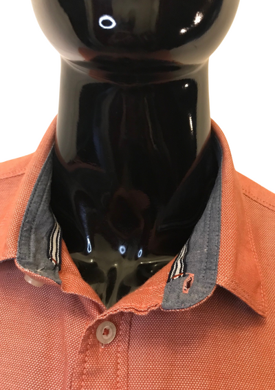 Chemise Taille XXL