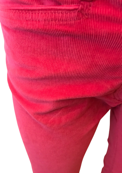 Pantalon en velours côtelé Taille 36 (neuf)